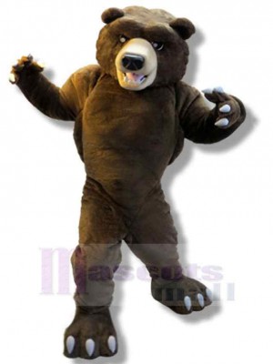 Ours costume de mascotte