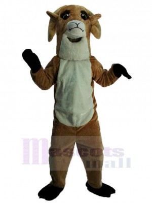 Mouton costume de mascotte