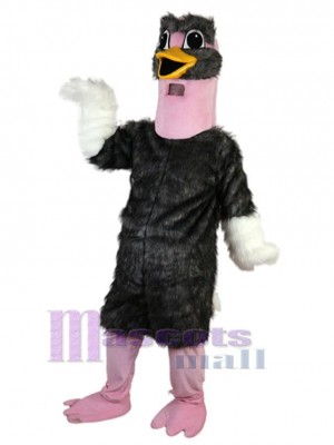 Autruche costume de mascotte