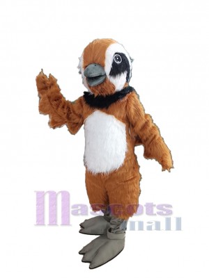 Oiseau de caille costume de mascotte