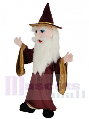 Sorcier Merlin costume de mascotte