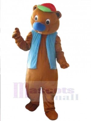 Ours costume de mascotte
