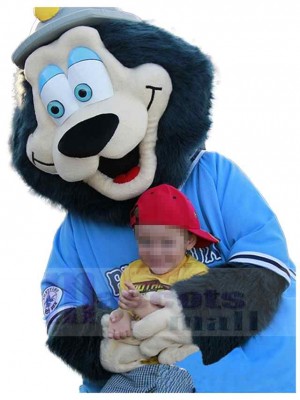 Ours costume de mascotte