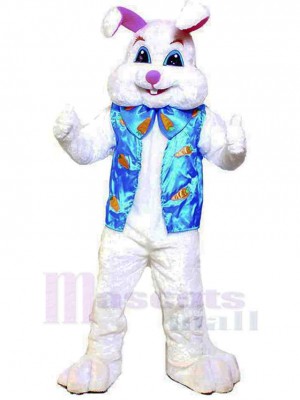 Lapin costume de mascotte