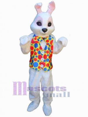 Lapin de Pâques costume de mascotte