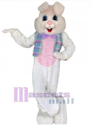 Lapin de Pâques costume de mascotte