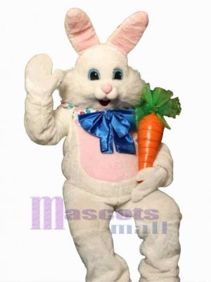 Lapin de Pâques costume de mascotte