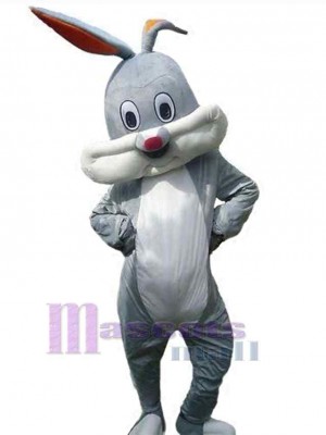 Lapin de Pâques costume de mascotte