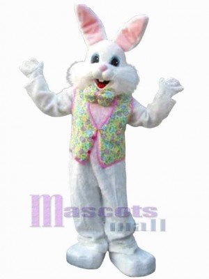 Lapin de Pâques costume de mascotte