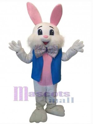 Lapin de Pâques costume de mascotte