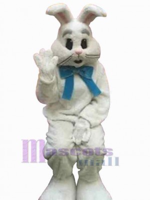 Lapin de Pâques costume de mascotte