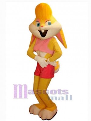 Lapin de Pâques costume de mascotte