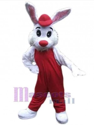 Lapin de Pâques costume de mascotte
