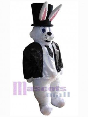 Lapin de Pâques costume de mascotte