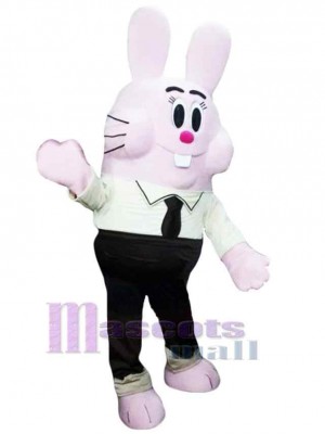 Lapin de Pâques costume de mascotte