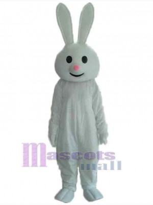 Lapin de Pâques costume de mascotte