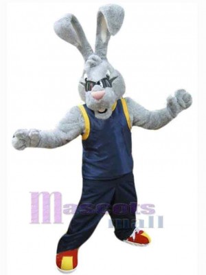 Lapin de Pâques costume de mascotte