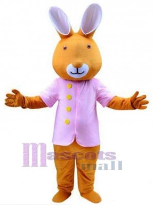 Lapin de Pâques costume de mascotte