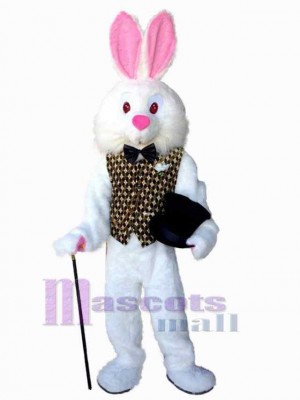 Lapin de Pâques costume de mascotte