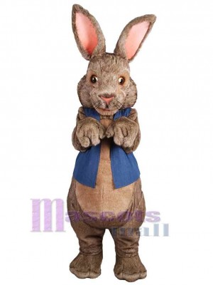 Lapin de Pâques costume de mascotte
