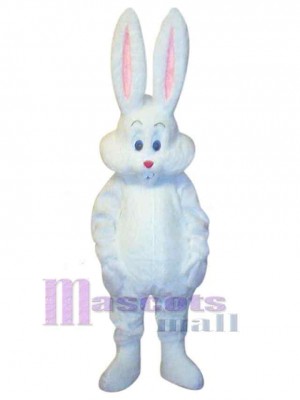 Lapin de Pâques costume de mascotte