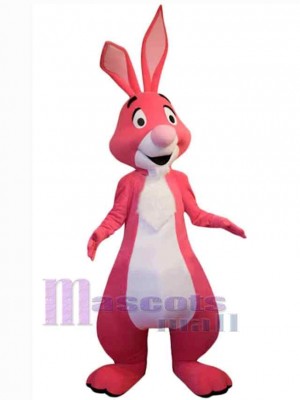 Lapin de Pâques costume de mascotte