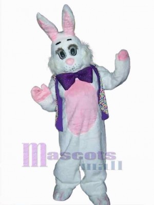 Lapin de Pâques costume de mascotte