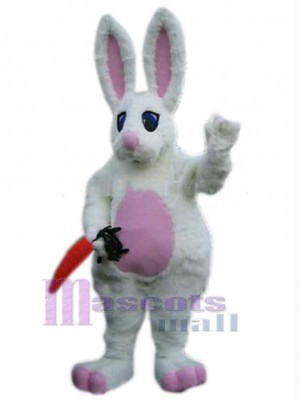 Lapin de Pâques costume de mascotte
