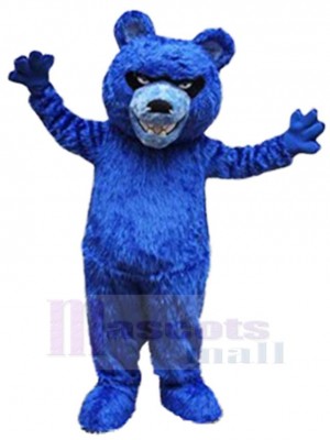 Ours costume de mascotte