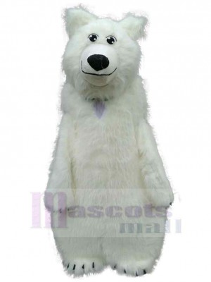 Ours costume de mascotte
