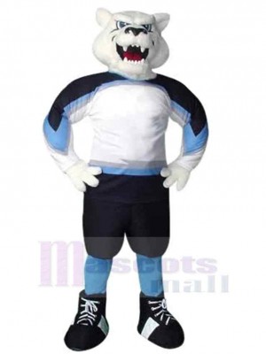Ours costume de mascotte