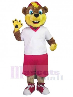 Castor costume de mascotte