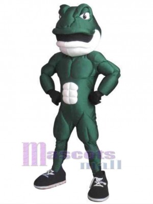 Grenouille costume de mascotte