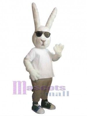Lapin de Pâques costume de mascotte