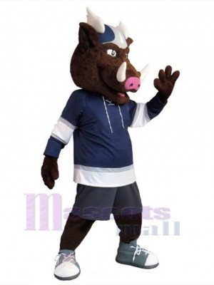 Sanglier costume de mascotte