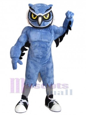 Chouette Hibou costume de mascotte