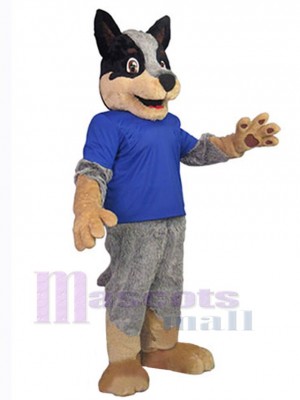 Chien costume de mascotte