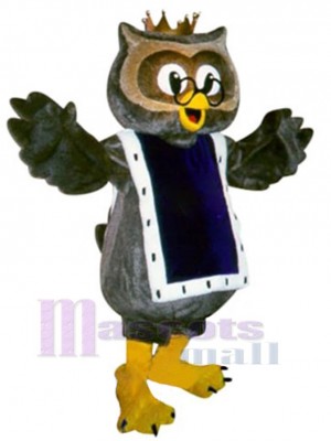 Chouette Hibou costume de mascotte