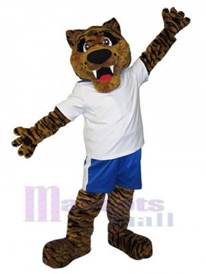 Tigre costume de mascotte