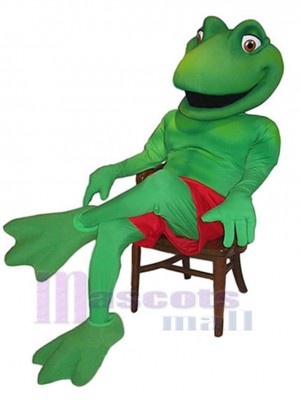 Grenouille costume de mascotte