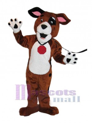 Chien costume de mascotte
