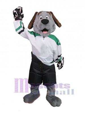 Chien costume de mascotte