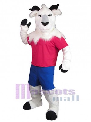 Chèvre costume de mascotte