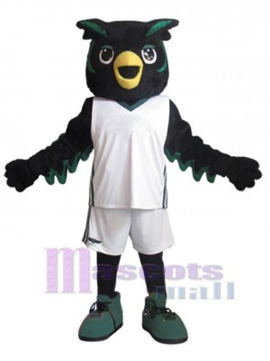 Chouette Hibou costume de mascotte