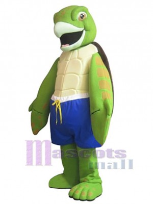 Tortue costume de mascotte