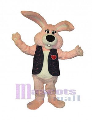Lapin de Pâques costume de mascotte