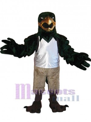 Faucon costume de mascotte