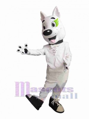 Chien costume de mascotte