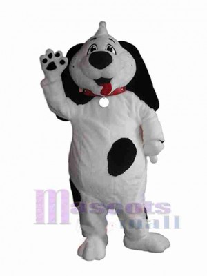 Chien costume de mascotte
