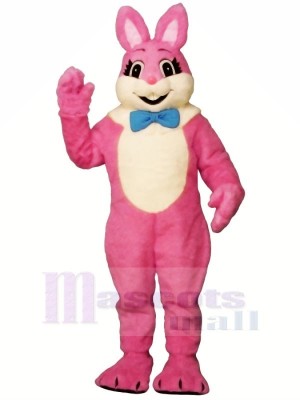 Rose Souriant lapin Mascotte Les costumes Pas cher